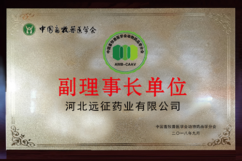 資質(zhì)榮譽19